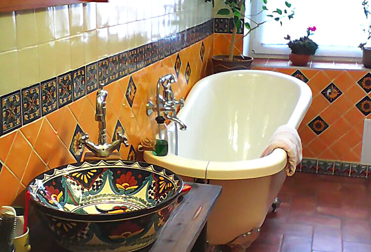 Rybičky připlavaly z Bahía de Acapulco až k nám